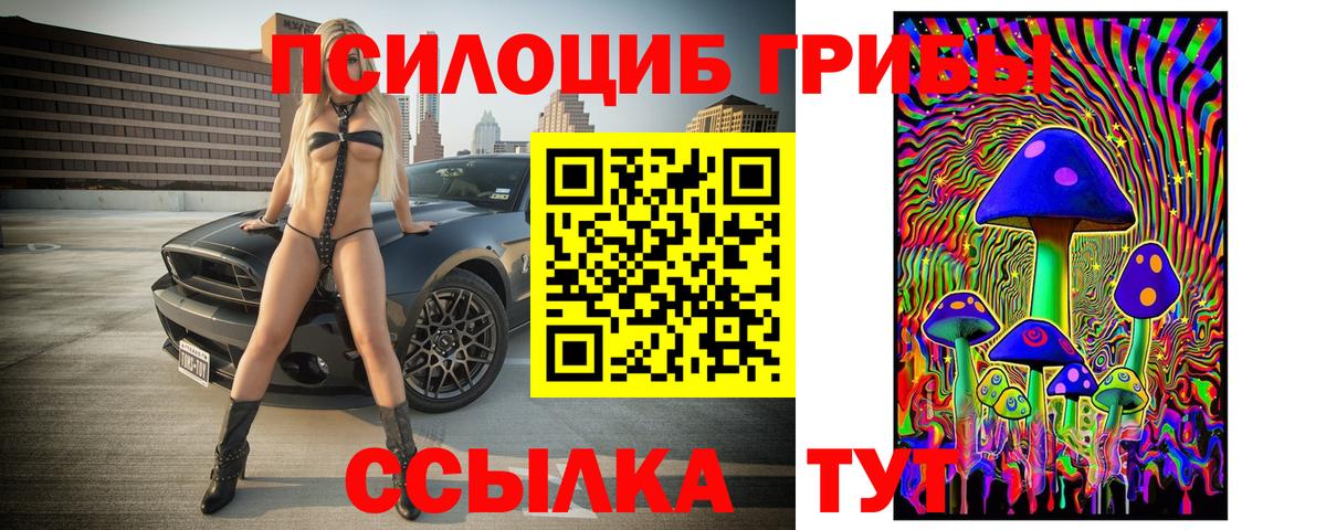 Галлюциногенные грибы прущие грибы Избербаш