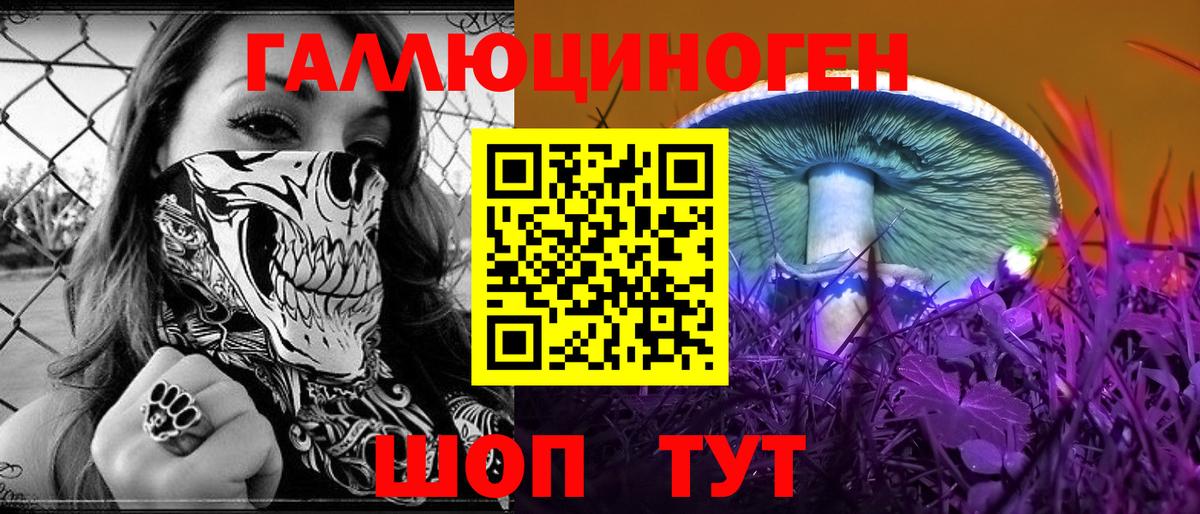 Псилоцибиновые грибы MAGIC MUSHROOMS  Вход с VPN  Избербаш  Псилоцибиновые грибы прущие грибы 